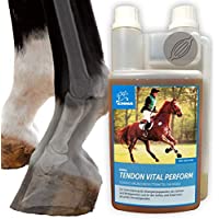 EMMA MSM para Caballos I alimento complementario para Caballos l azufre-metilsulfonilmetano I glucosamina- condroitina…